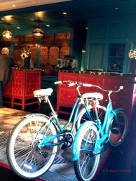 Hotel Monaco Bikes, Reception Copyright Shelagh Donnelly